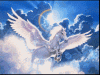 pegasus_cloud.gif