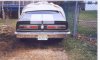 mav bob taillights.jpg