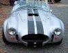 3_65fcobra4.jpg