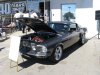 5 SUMMIT MUSTANG EL.jpg