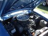 IMGP0320.jpg