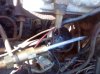DSC00234.jpg