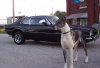 Newer Mav pics 008.jpg