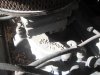 DSCF0373.JPG
