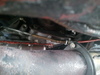 2011-10-29_15.52.43_original.jpg