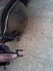 brake hose clip.jpg