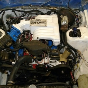 Engine Bay 5-0 EFI.jpg