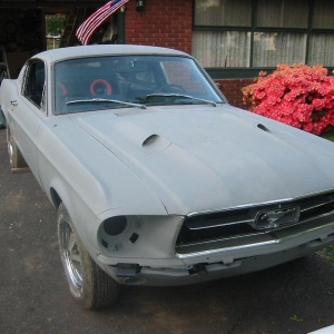 Mustang with Grabber Hood