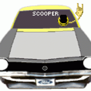 Emoticon for scooper