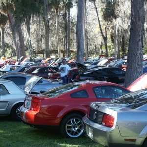 Silver Springs 2009