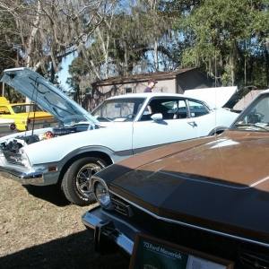 Silver Springs 2009