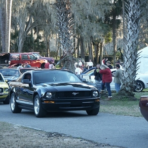 Silver Springs 2009