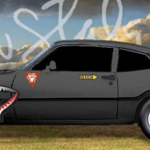 Stmav1