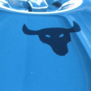 Bull Head