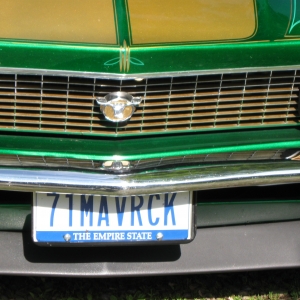 Front Grille And Plate