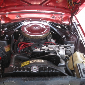 302 Engine Bay