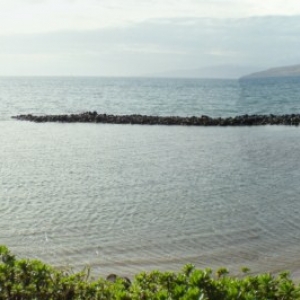 Maui Sanctuary Fishpond