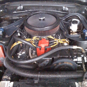 Crowded (but Washed!) Engine Bay