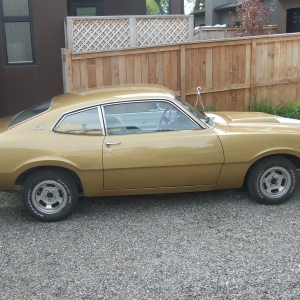 Gold Comet