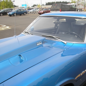 Grabber Cowl Hood And Caprice Tail Lights