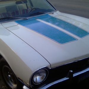 72 Sprint Hood