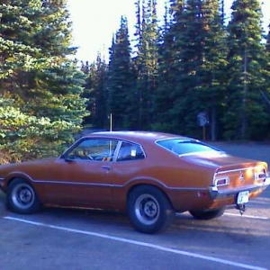 At Hurricane Ridge, Olympic Nat. Park