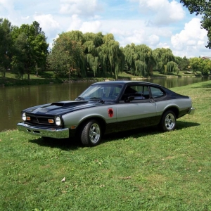 Stallion At Frankenmuth