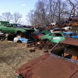 Junkyard Photos