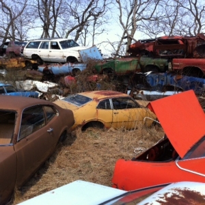 Junkyard Photos