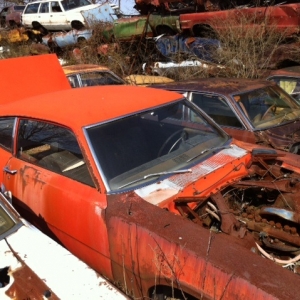 Junkyard Photos