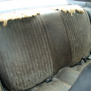 moldy rear seat :)