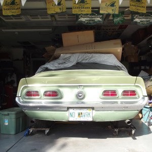 Tail with the trunk chrome installed