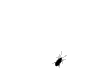 Crawling-bug