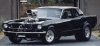 1965_ProStang.gif