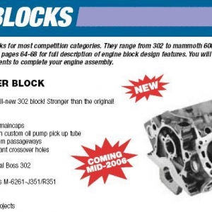 Boss 302 Block for mid 2006