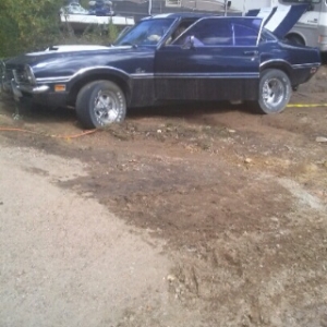 Pulling Her Out If The Mud An Cleaning Her Up After The Flood