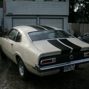 Shelby Stripes