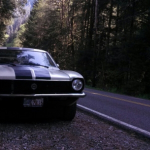 '71 Maverick front