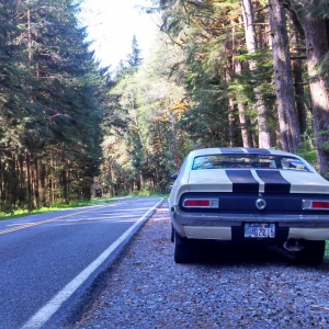 '71 Maverick rear