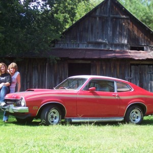 The Bear Cat and the Old Barn